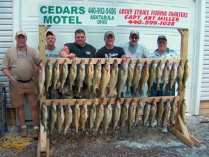 trophy walleye and yellow perch fishing charters ashtabula ohio lake erie