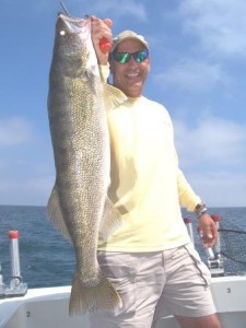 of course trophy walleye in ashtabula ohio lake erie charters. visit us in ashtabula and get your own chance of catching a trophy walleye like this