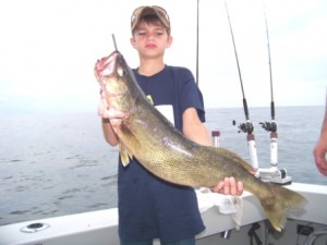 a true trophy walleye caught on the bring it on lake erie fishing charter in conneaut ohio waters of lake erie