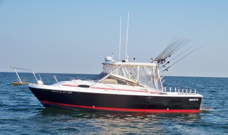 Bring It On - Lake Erie fishing charter Ashtabula, Ohio USA